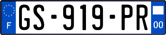 GS-919-PR