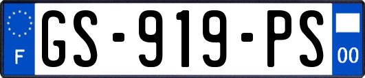 GS-919-PS