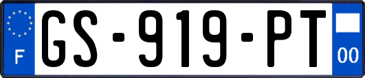 GS-919-PT