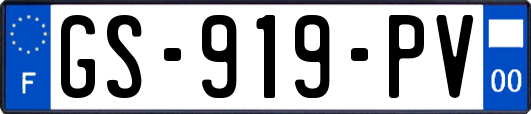 GS-919-PV