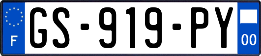 GS-919-PY