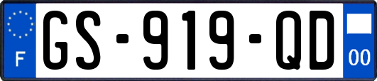 GS-919-QD