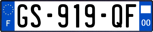 GS-919-QF