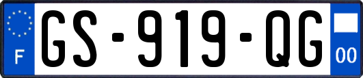 GS-919-QG