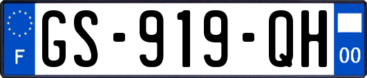 GS-919-QH