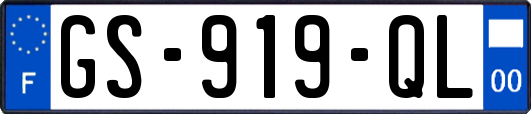GS-919-QL