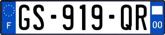 GS-919-QR