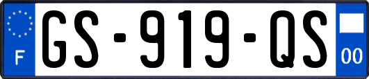 GS-919-QS