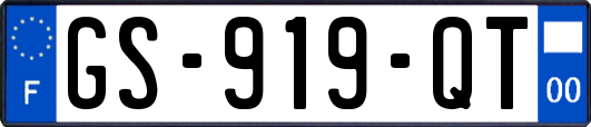 GS-919-QT