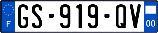 GS-919-QV