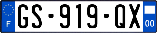 GS-919-QX