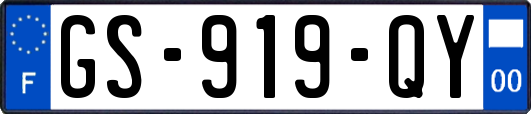 GS-919-QY