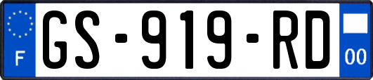 GS-919-RD