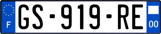 GS-919-RE