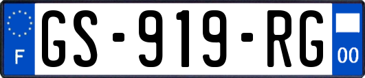 GS-919-RG