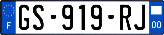 GS-919-RJ