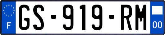 GS-919-RM