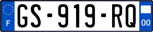 GS-919-RQ