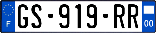 GS-919-RR