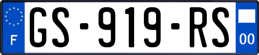 GS-919-RS