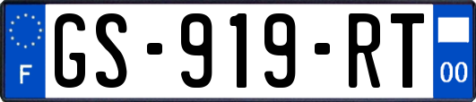 GS-919-RT