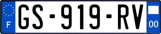 GS-919-RV
