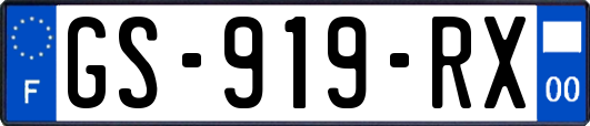 GS-919-RX