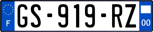GS-919-RZ