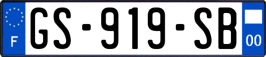 GS-919-SB