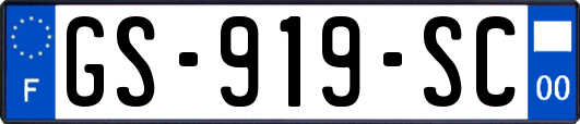 GS-919-SC