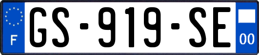 GS-919-SE