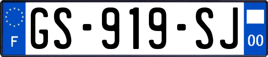 GS-919-SJ