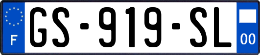 GS-919-SL