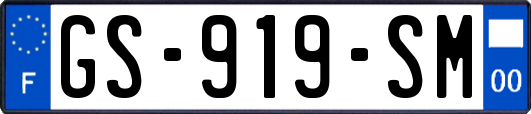 GS-919-SM