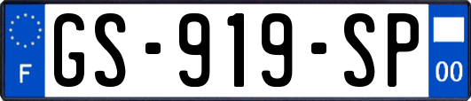 GS-919-SP