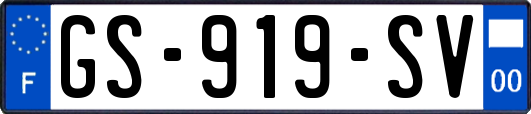GS-919-SV