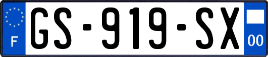 GS-919-SX