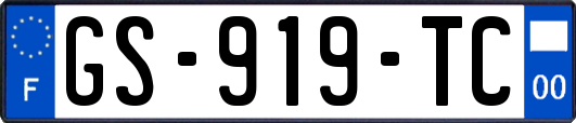 GS-919-TC