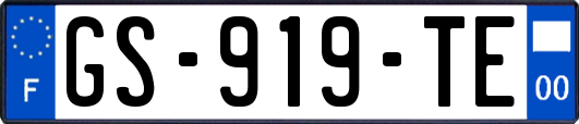 GS-919-TE
