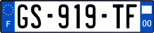 GS-919-TF