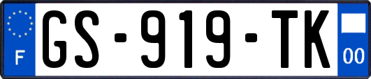 GS-919-TK