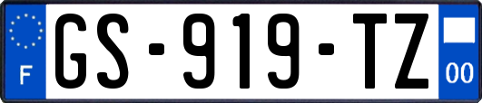 GS-919-TZ