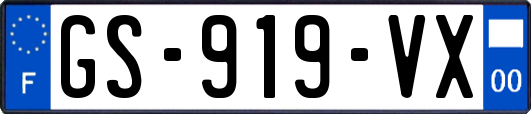 GS-919-VX
