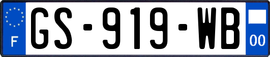 GS-919-WB