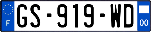 GS-919-WD