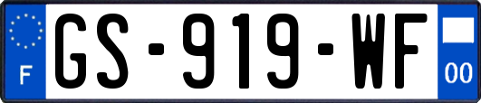 GS-919-WF