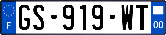 GS-919-WT