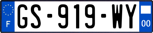 GS-919-WY