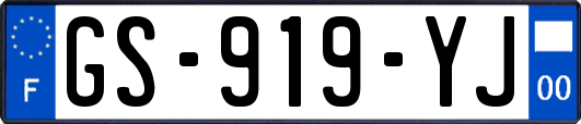 GS-919-YJ