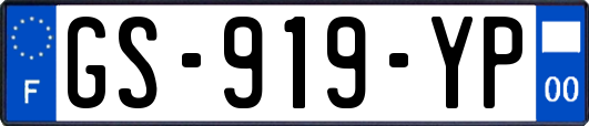 GS-919-YP